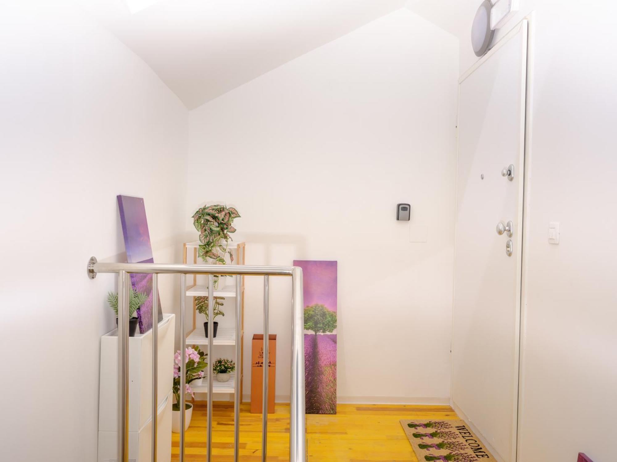 Seaview Apartments Roberta Zadar Bagian luar foto